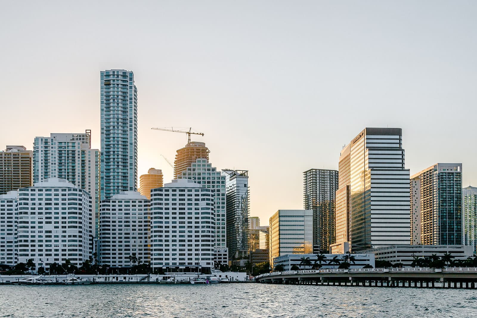 Miami waterfront skyline